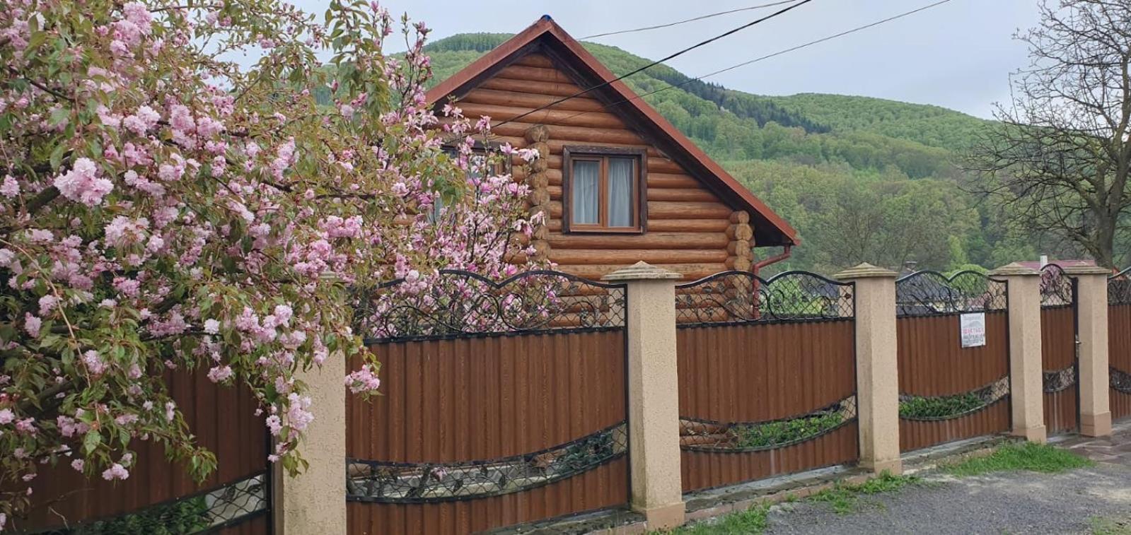 Smerekovyi Dvir 波利亚纳 外观 照片